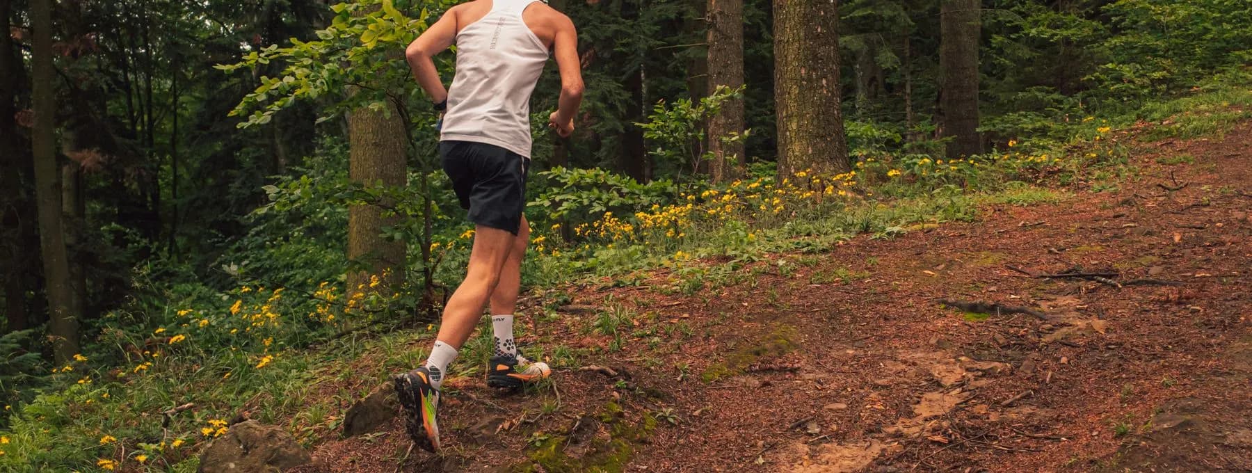 a runner on a forest trail