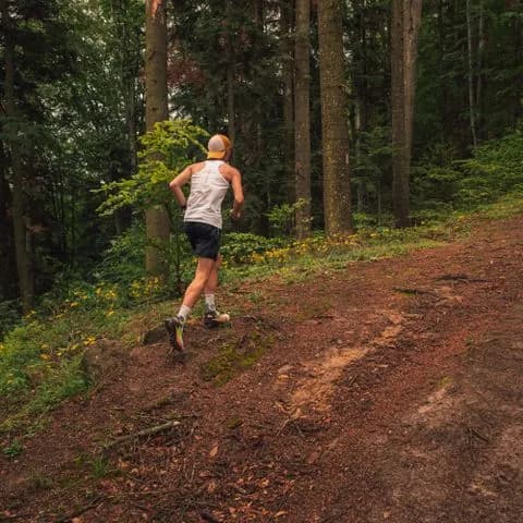 a runner on a forest trail