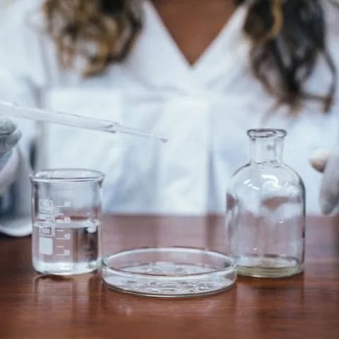 beakers and petri dishes on a bench