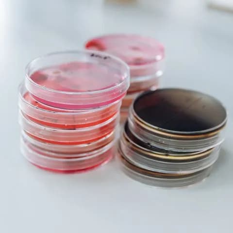 a stack of culture plates