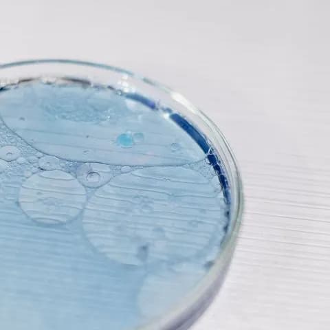 a petri dish holding blue liquid